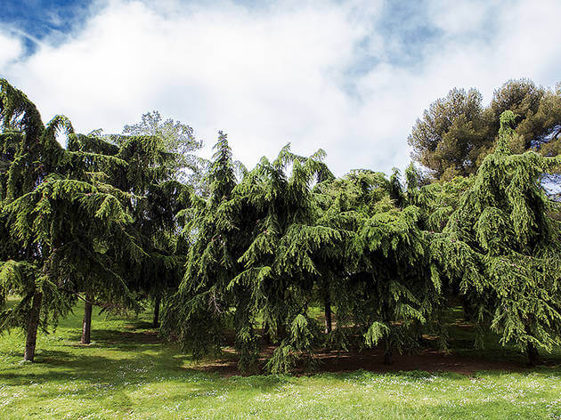 Bonitos bosques de Barcelona y alrededores