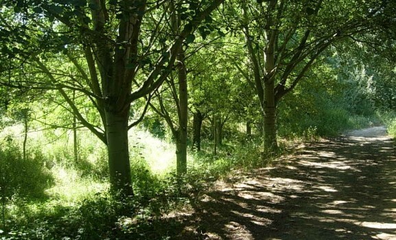 Bonitos bosques de Barcelona y alrededores