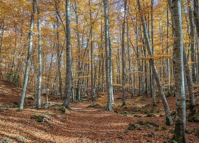 10 lugares bonitos en Cataluña - ¡DESCÚBRELOS!