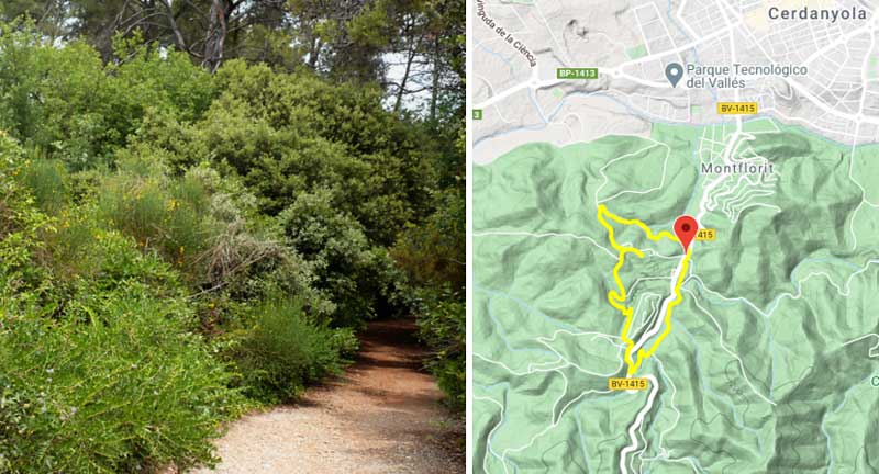 Las mejores rutas de senderismo en Collserola