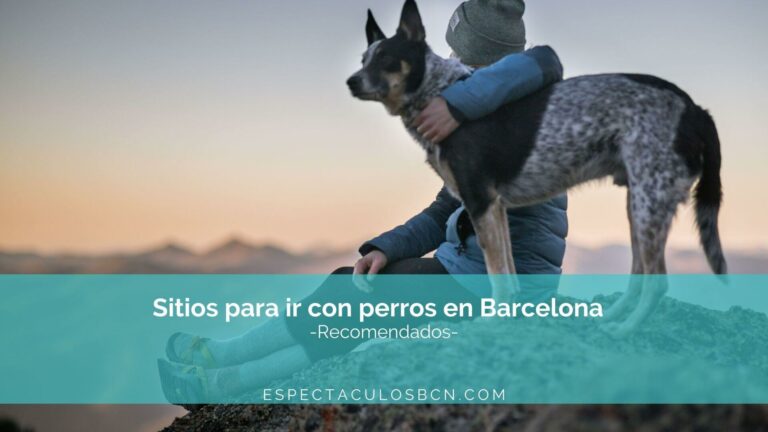 8 sitios para ir con perros en Barcelona