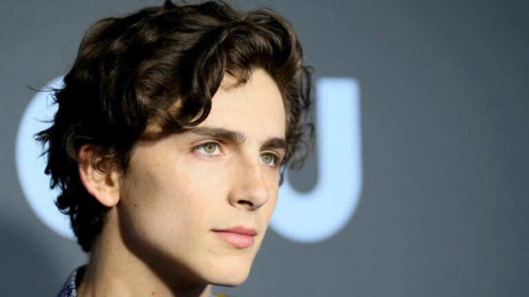 7 mejores películas de Timothée Chalamet