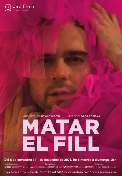 TEATRE BARCELONA WEB CARTELL MATAR EL FILL